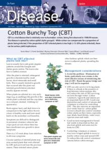 On Farm  Update Disease On Farm | April 2011 | Produced by Cotton Catchment Communities CRC