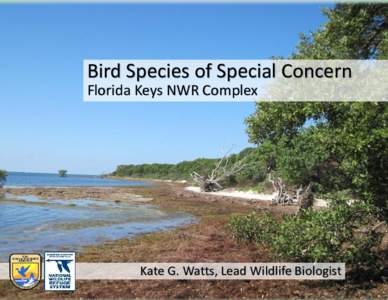 Bird Species of Special Concern Florida Keys NWR Complex Kate G. Watts, Lead Wildlife Biologist  Bird Species of Special Concern