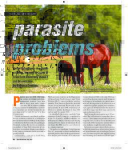 YOUR HORSE’S HEALTH  Parasite resistance is a global problem, but new research at Texas Tech University shows it can be overcome.