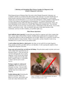 Collecting and Submitting Plant Disease Samples for Diagnosis to the Schutter Diagnostic Laboratory Plant diagnosticians at Montana State University in the Schutter Diagnostic Laboratory are available to identify any pro