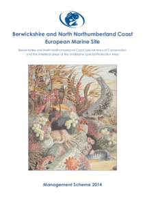 Berwickshire and North Northumberland Coast European Marine Site Berwickshire and North Northumberland Coast Special Area of Conservation and the intertidal areas of the Lindisfarne Special Protection Area  Management Sc
