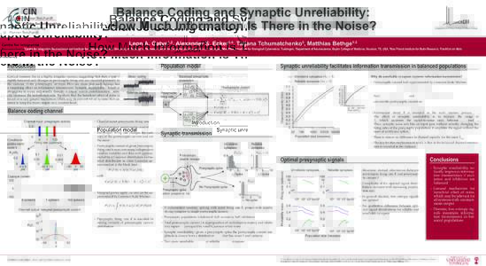 Balance Coding and Synaptic Unreliability: How Much Information Is There in the Noise? Leon A. Gatys , Alexander S. Ecker , Tatjana Tchumatchenko , Matthias Bethge 1,2  Population model