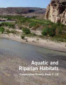Bennett, Briggs and Sandoval-Solis_Aquatic and Riparian Habitats Rio Grande – Rio Bravo River Corridor..pdf