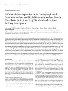 13672 • The Journal of Neuroscience, October 28, 2009 • 29(43):13672–Development/Plasticity/Repair Differential Gene Expression in the Developing Lateral Geniculate Nucleus and Medial Geniculate Nucleus Reve