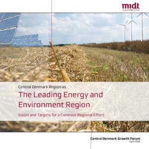 Central Denmark Region as  The Leading Energy and Environment Region Vision and Targets for a Common Regional Effort