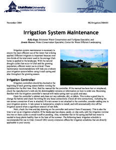 Irrigation System Maintenance