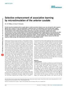© 2006 Nature Publishing Group http://www.nature.com/natureneuroscience  ARTICLES Selective enhancement of associative learning by microstimulation of the anterior caudate