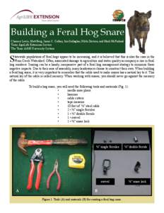 Building a Feral Hog Snare Chancey Lewis, Matt Berg, James C. Cathey, Jim Gallagher, Nikki Dictson, and Mark McFarland Texas AgriLife Extension Service The Texas A&M University System  S