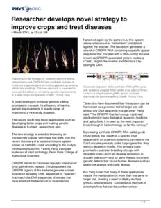 Researcher develops novel strategy to improve crops and treat diseases