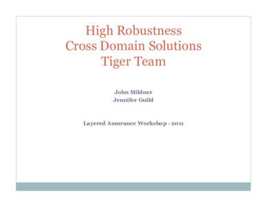 High Robustness Cross Domain Solutions Tiger Team John Mildner Jennifer Guild