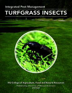 Integrated Pest Management  TURFGRASS INSECTS MU College of Agriculture, Food and Natural Resources Published by University of Missouri Extension