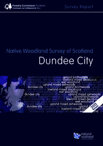 Sur vey Report  Dundee City 13sed 0
