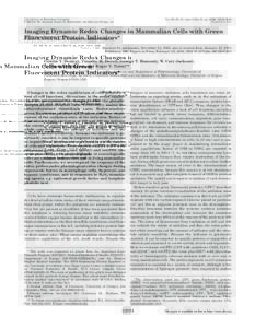 THE JOURNAL OF BIOLOGICAL CHEMISTRY © 2004 by The American Society for Biochemistry and Molecular Biology, Inc. Vol. 279, No. 21, Issue of May 21, pp –22293, 2004 Printed in U.S.A.
