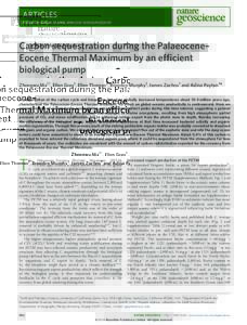 Carbon sequestration during the Palaeocene–Eocene Thermal Maximum by an efficient biological pump