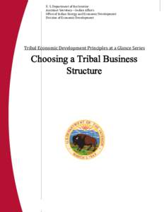 Tribal Economic Development Principles at a Glance Series: U. S. Department of the Interior Choosing a Tribal Business Structure Assistant Secretary—Indian Affairs