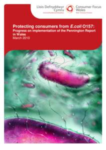 Protecting consumers from E.coli O157: Progress on implementation of the Pennington Report in Wales March 2010  Contents