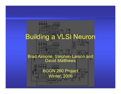 Building a VLSI Neuron Brad Aimone, Stephen Larson and David Matthews BGGN 260 Project Winter, 2006