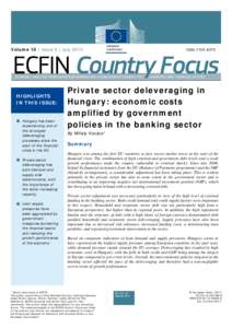 Private sector deleveraging in Hungary: economic costs amplified by government policies in the banking sector