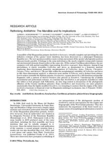American Journal of Primatology 75:825–RESEARCH ARTICLE Rethinking Antillothrix: The Mandible and Its Implications ALFRED L. ROSENBERGER1,2,3,4*, ZACHARY S. KLUKKERT3,5, SIOBHÁN B. COOKE6,7, AND RENATO RÍ
