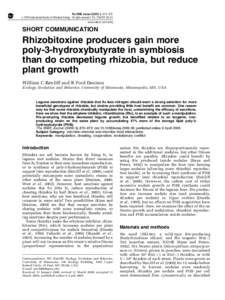 Rhizobitoxine producers gain more poly-3-hydroxybutyrate in symbiosis than do competing rhizobia, but reduce plant growth