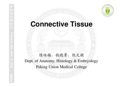 PUMC  Dept. of Anat. Hist. & Embry. Connective Tissue