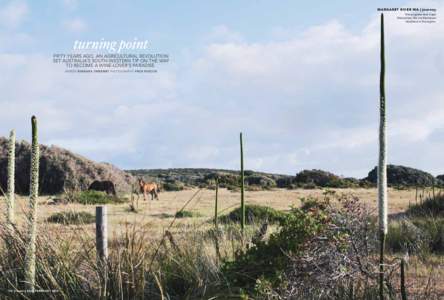 MARGARET RIVER WA | journey Horses graze near Cape Naturaliste, the northernmost headland in the region.  turning point