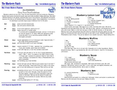 Microsoft Word - Blueberry guidlines.doc