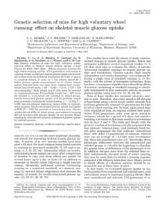 J Appl Physiol 91: 1289–1297, 2001. Genetic selection of mice for high voluntary wheel running: effect on skeletal muscle glucose uptake C. L. DUMKE,1 J. S. RHODES,2 T. GARLAND JR,2 E. MASLOWSKI,1