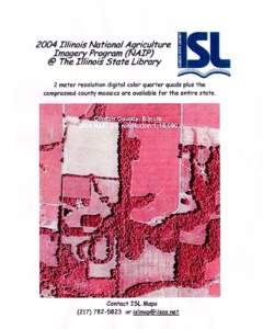 2004 Illinois National Agriculture Imagery Program (NAIP)