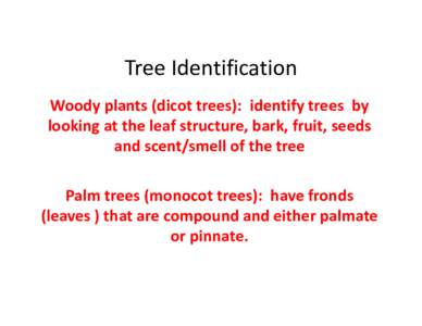 Tree Identification Woody plants (dicot trees):  identify trees  by  looking at the leaf structure, bark, fruit, seeds  and scent/smell of the tree Palm trees (monocot trees):  have fronds  (