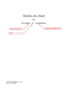 Youth on Fire by Olufemi S. Sowemimo 