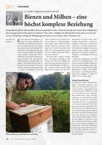Forschung 25 Jahre Varroa in der Schweiz Bienen und Milben – eine höchst komplexe Beziehung Ist das Bienenvolk der Varroamilbe schutzlos ausgeliefert? Gibt es Hinweise darauf, dass unsere Biene Fähigkeiten