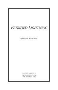 PETRIFIED LIGHTNING by PETER