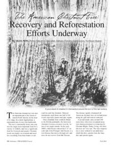 The American Chestnut Tree: Recovery and Reforestation Efforts Underway By TILDA MIMS, Forest Education Specialist, Alabama Forestry Commission, Northeast Region  A pure stand of chestnut in Connecticut around the turn o
