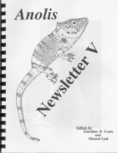 Anolis / Carolina anole / Polychrotidae / Norops / Brown Anole / Knight Anole / Anoles / Zoology / Biology