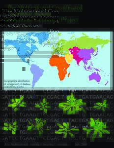 The Multinational Coordinated Arabidopsis thaliana Functional Genomics Project Annual Report 2008 Xing Wang Deng  Chair
