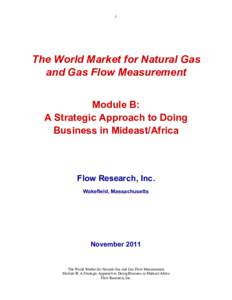i  The World Market for Natural Gas and Gas Flow Measurement Module B: A Strategic Approach to Doing