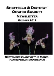 Sheffield & District Orchid Society Newsletter OctoberSeptember plant of the Month
