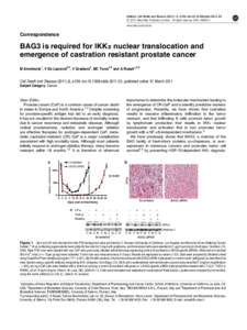 BAG3 is required for IKK&alpha; nuclear translocation and emergence of castration resistant prostate cancer