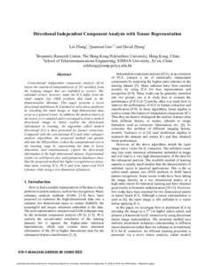 Directional Independent Component Analysis with Tensor Representation