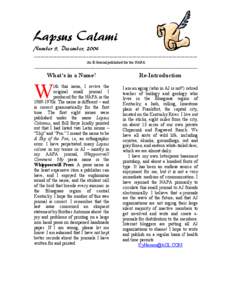 Lapsus Calami  Number 9, December, 2004 -----------------------------------------------------------------------------An E-Journal published for the NAPA  ------------------------------------------------------------------
