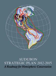 audubon strategic plan[removed]A Roadmap for Hemispheric Conservation  Contents