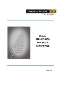 Microsoft Word - Final report Legal entities for social enterprises -for Minister CVS  (final) (4).doc