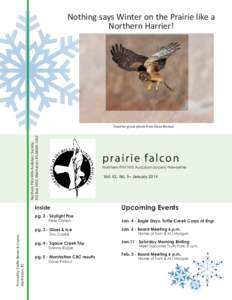 Nothing says Winter on the Prairie like a Northern Harrier! Printed by Claflin Books & Copies Manhattan, KS