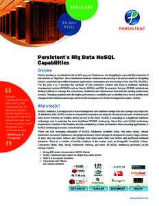 BROCHURE  Bi g D a ta NoSQL  Persistent’s Big Data NoSQL