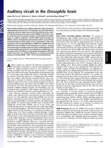 Auditory circuit in the Drosophila brain Jason Sih-Yu Laia, Shih-Jie Loa, Barry J. Dicksonb, and Ann-Shyn Chianga,c,d,e,1 a Institute of Biotechnology and Department of Life Science, National Tsing Hua University, Hsinch