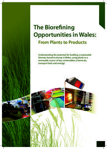 The Biorefining Opportunities in Wales: From Plants to Products Understanding the potential for building a sustainable biomass based economy in Wales, using plants as a renewable source of key commodities (chemicals,