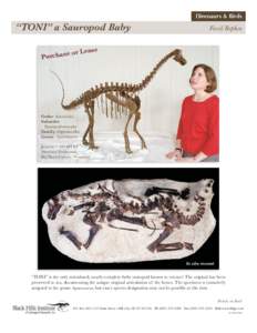 Dinosaurs & Birds  “TONI” a Sauropod Baby e or Purchas