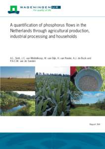 A quantification of phosphorus flows in the Netherlands through agricultural production, industrial processing and households A.L. Smit, J.C. van Middelkoop, W. van Dijk, H. van Reuler, A.J. de Buck and P.A.C.M. van de S