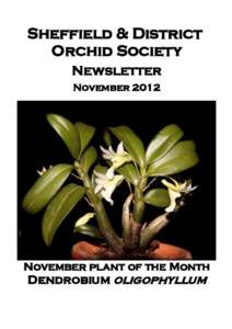 Sheffield & District Orchid Society Newsletter NovemberNovember plant of the Month